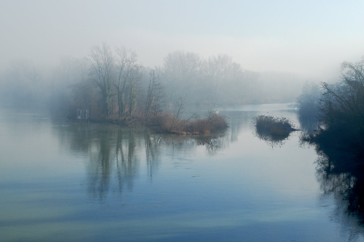 Brouillards du Rhône 